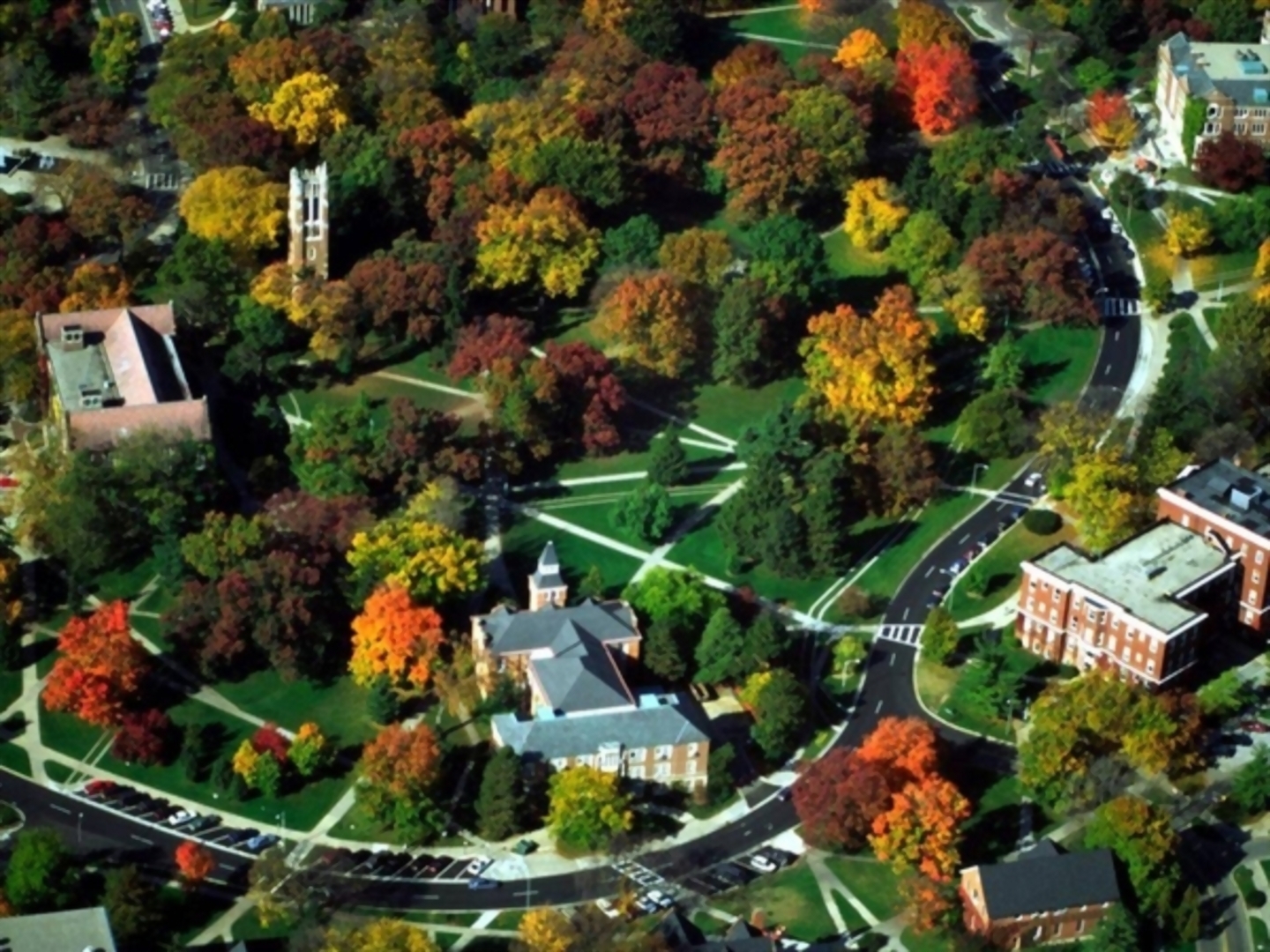 MSU Campus