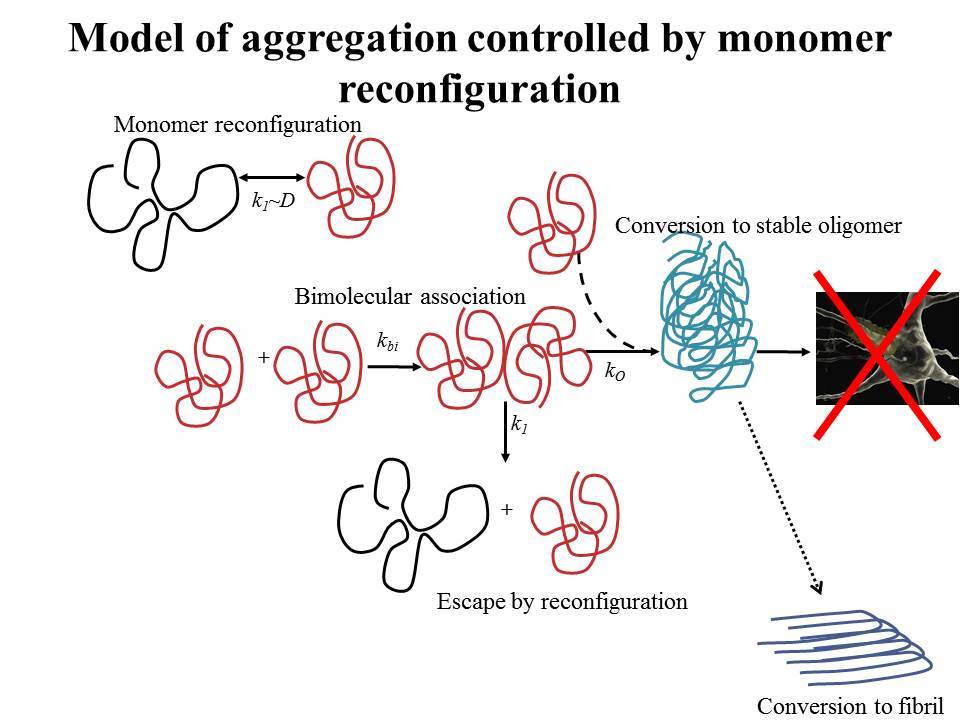 aggregation model
