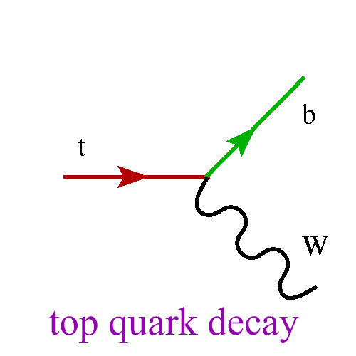 Animation of single top quark production mechanisms Animation of single top quark production mechanisms
