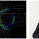 Nobel Prize winner lecture at MSU - Takaaki Kajita